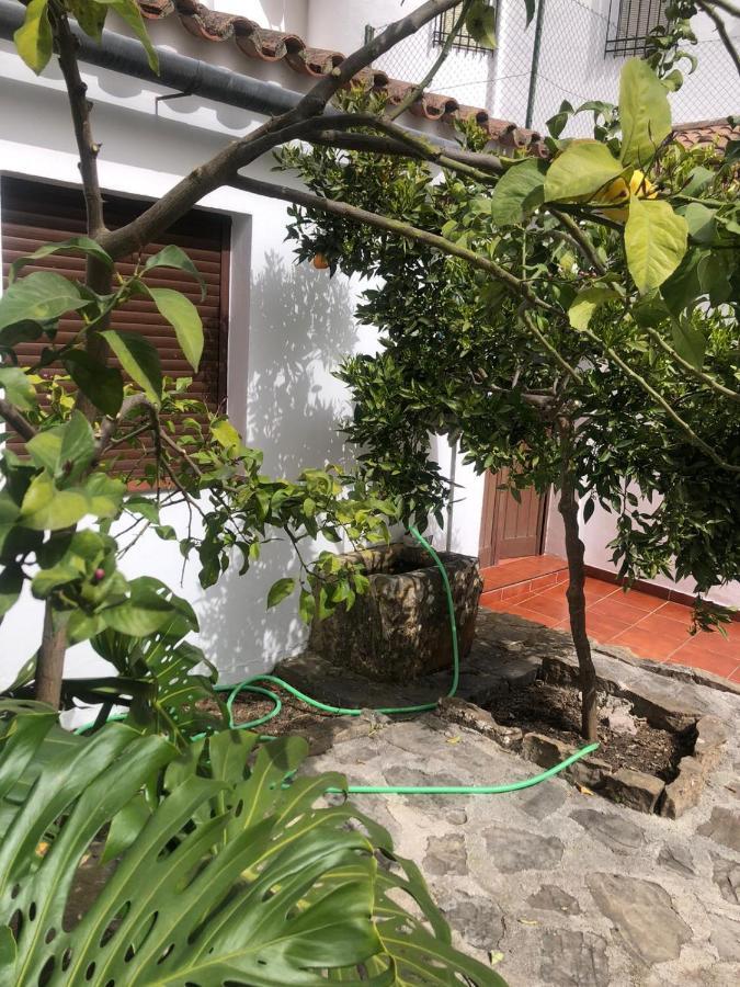 Casa De Tita Dolores Cortes de la Frontera Zewnętrze zdjęcie
